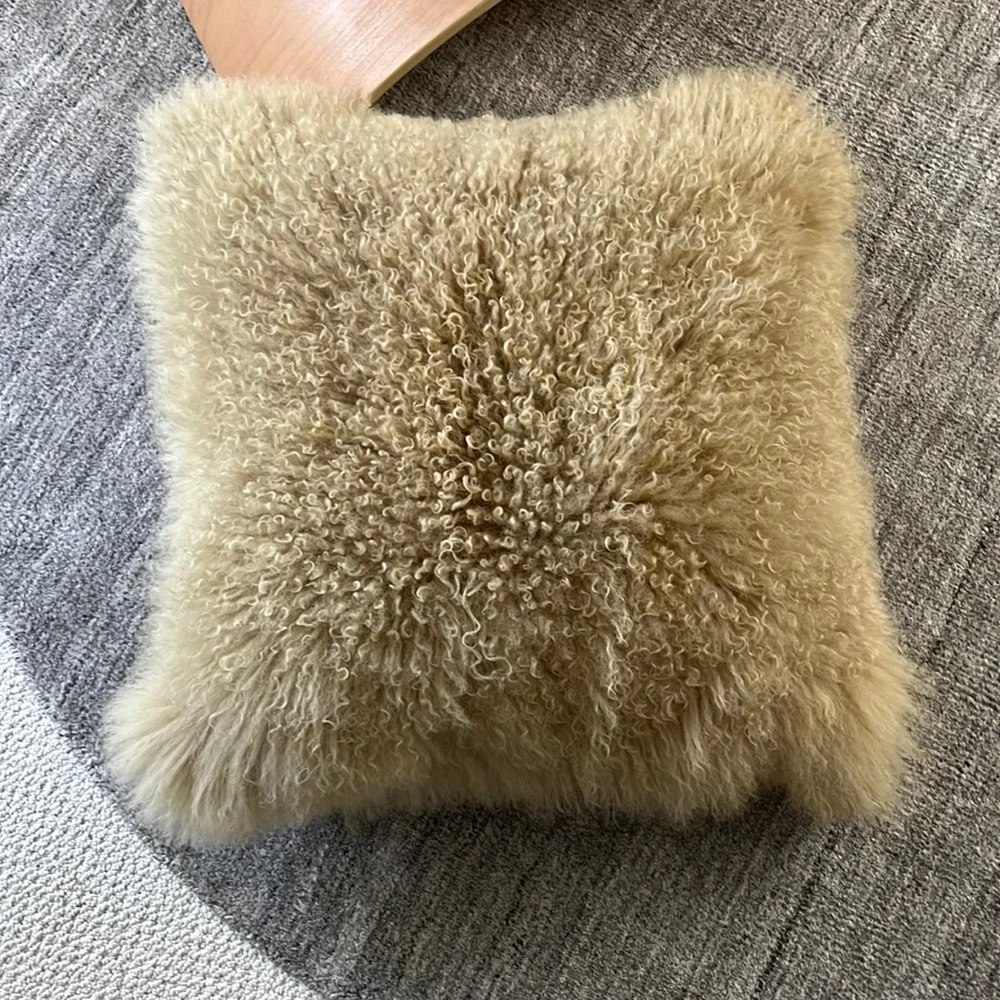 West Elm Plush Tan Accent Pillow